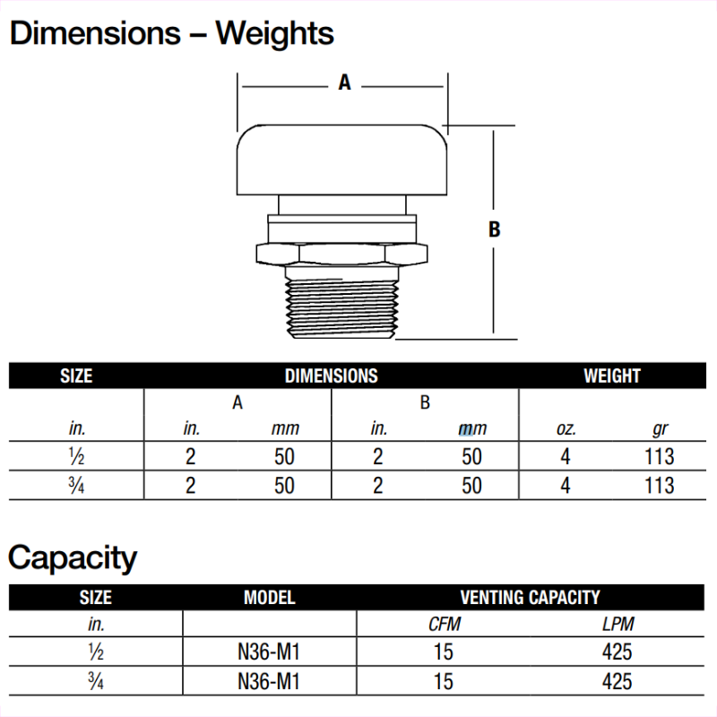 Watts N36 3/4" Vacuum Relief Valve 0138516