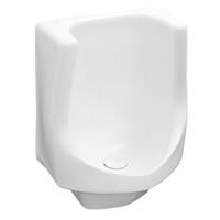 Zurn Z5795 Waterless Urinal